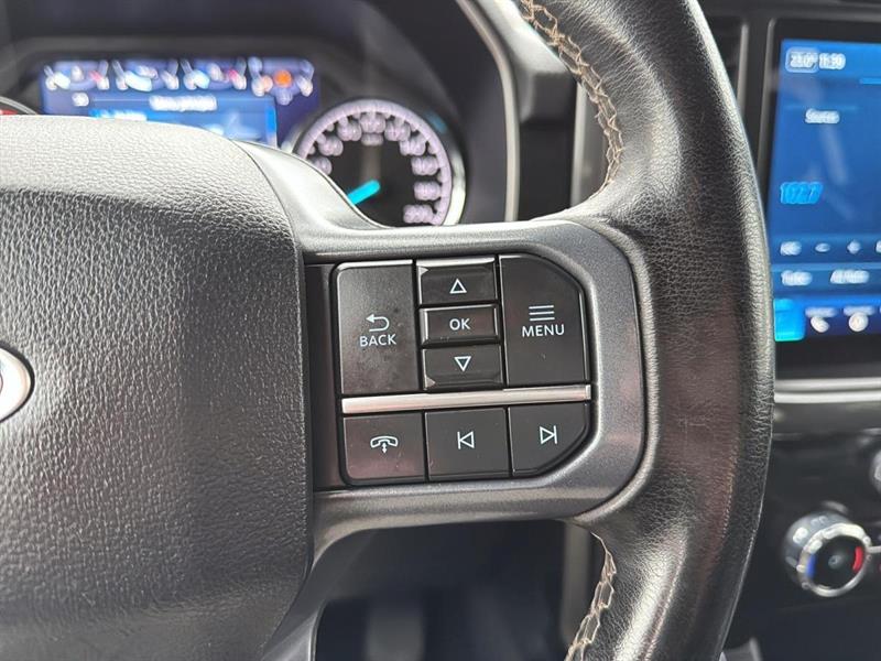 ford F-150 2023 - 15