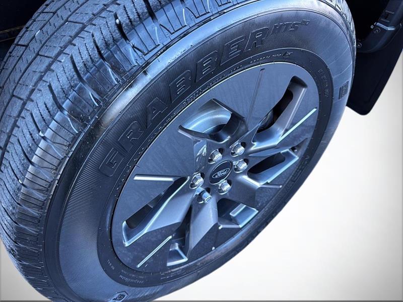 ford F-150 Lightning 2022 - 8