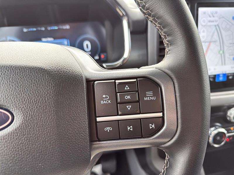 ford F-150 Lightning 2024 - 13