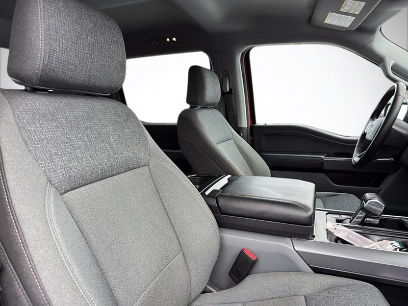 ford F-150 Lightning 2024 - 19