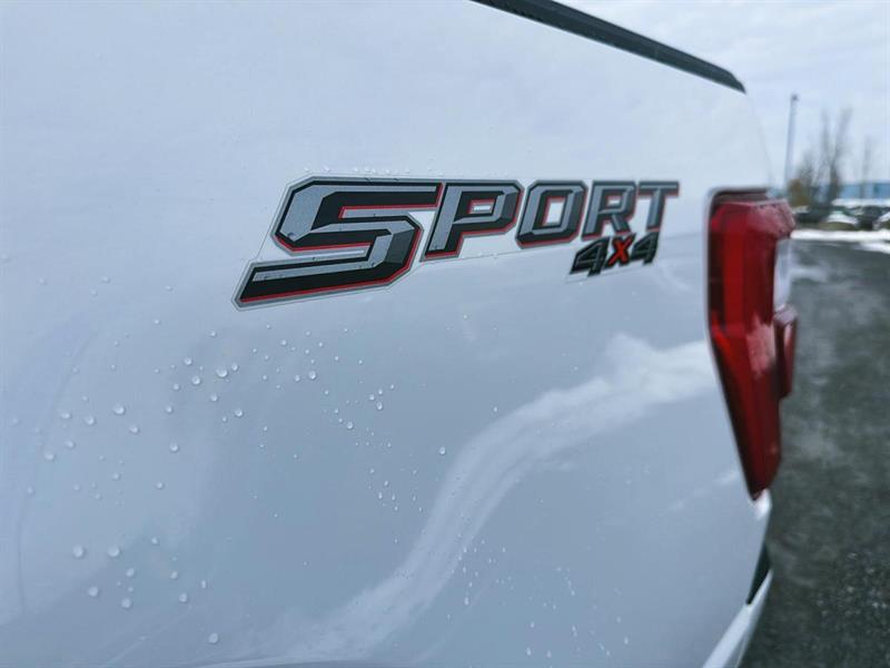 ford F-150 2023 - 15