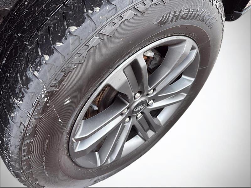 ford F-150 2023 - 10