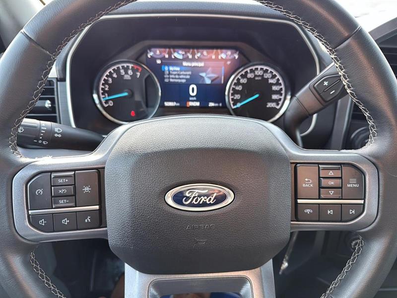 ford F-150 2023 - 14