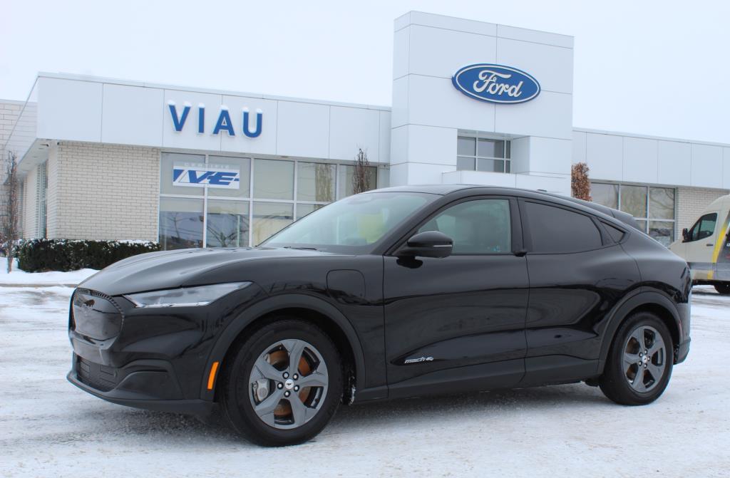 ford Mustang Mach-E 2022