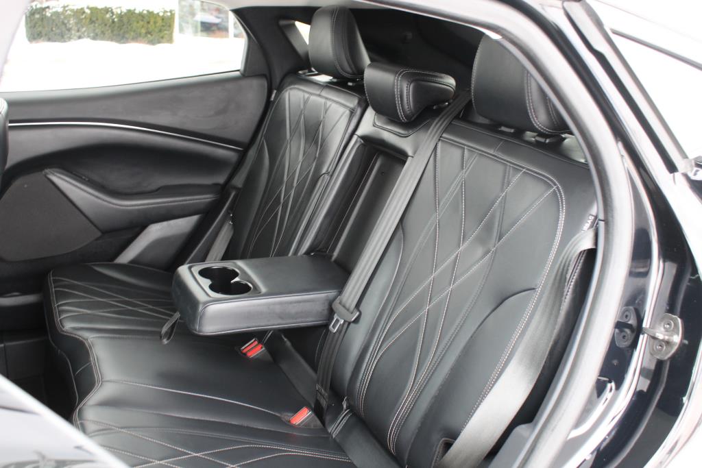 ford Mustang Mach-E 2022 - 16