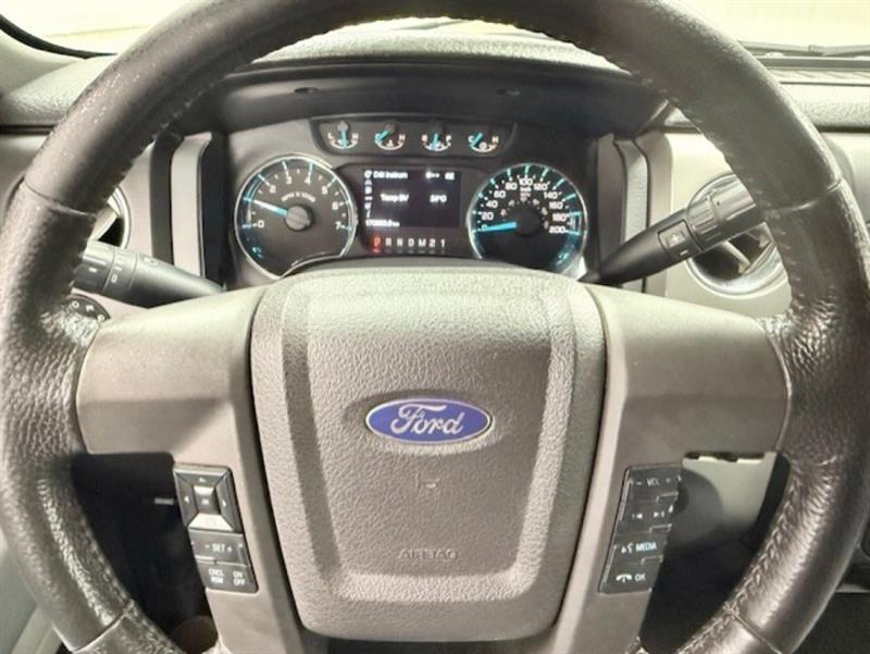 ford F-150 2013 - 10