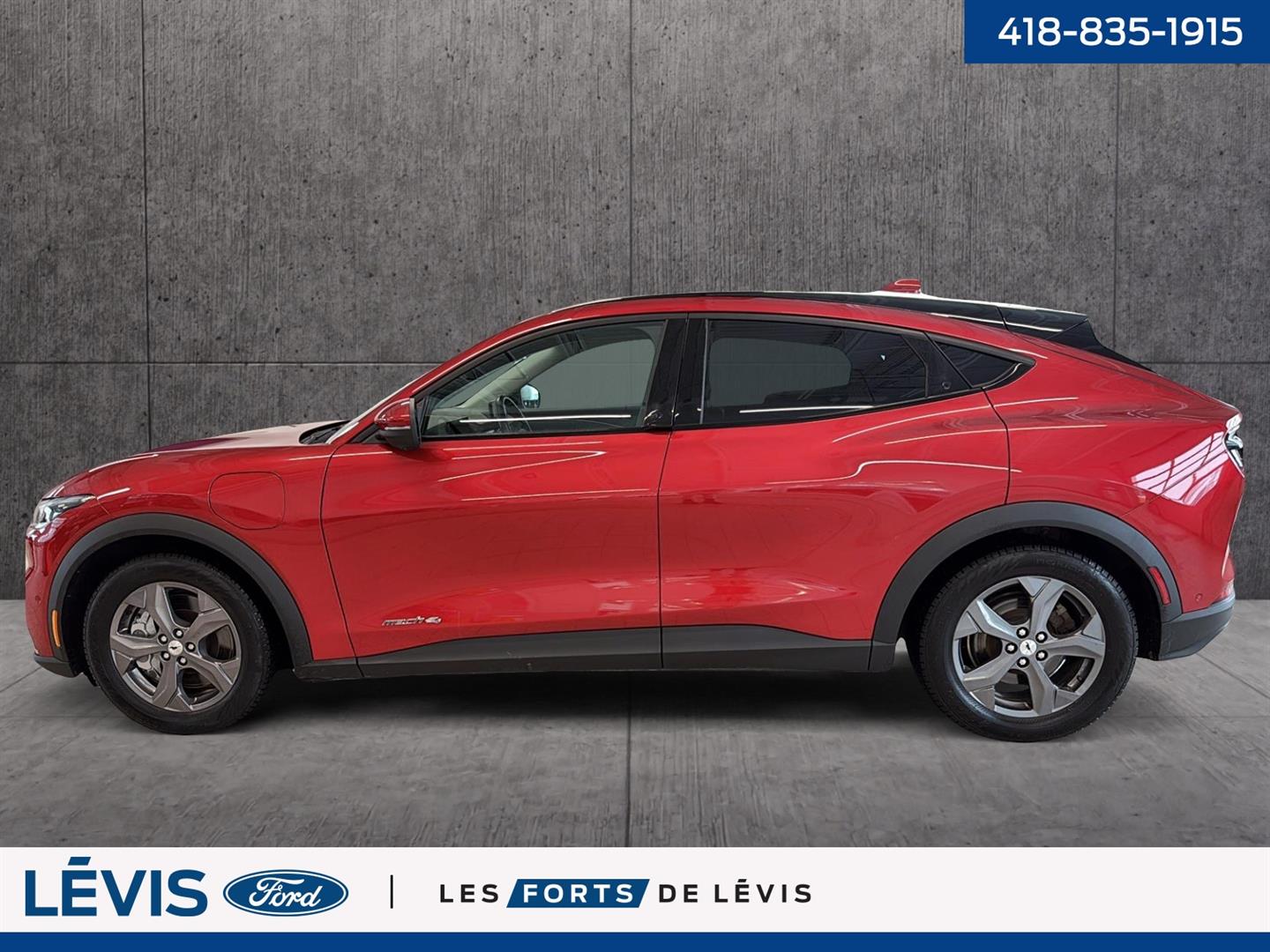 ford Mustang Mach-E 2022 - 8