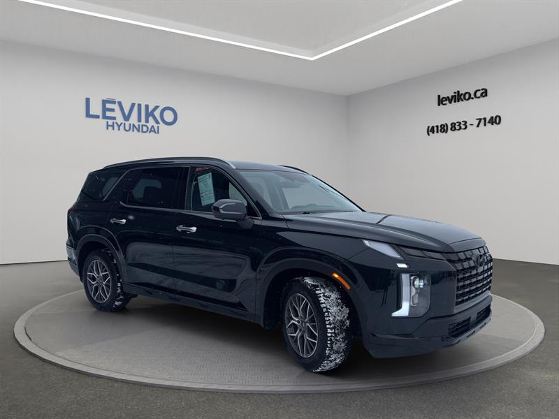 hyundai Palisade 2023 - 7