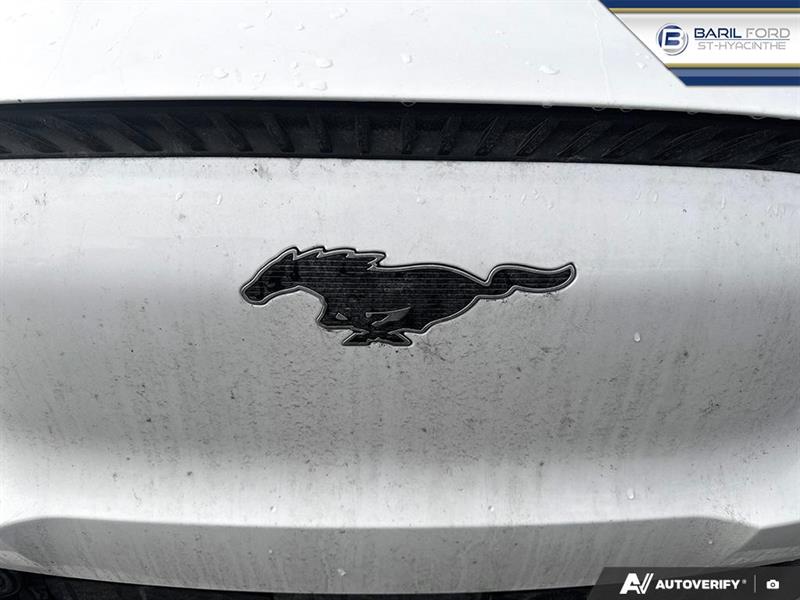 ford Mustang Mach-E 2021 - 9