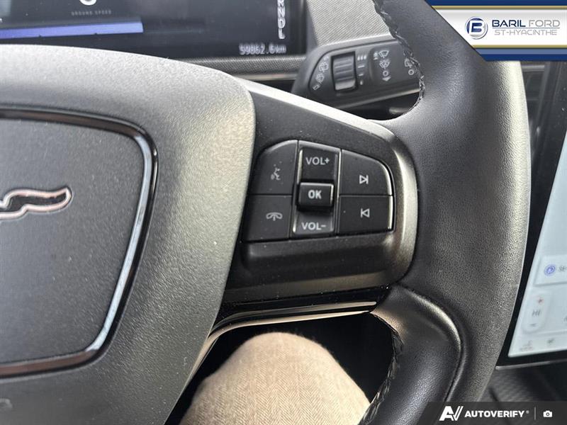 ford Mustang Mach-E 2021 - 15