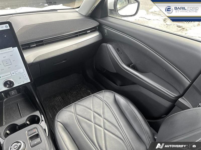 ford Mustang Mach-E 2021 - 24