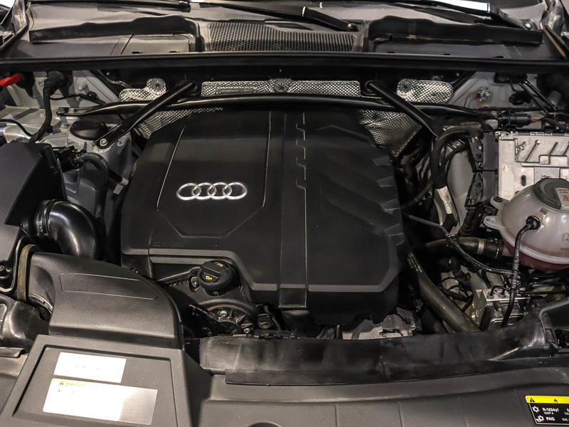 audi Q5 2023 - 22