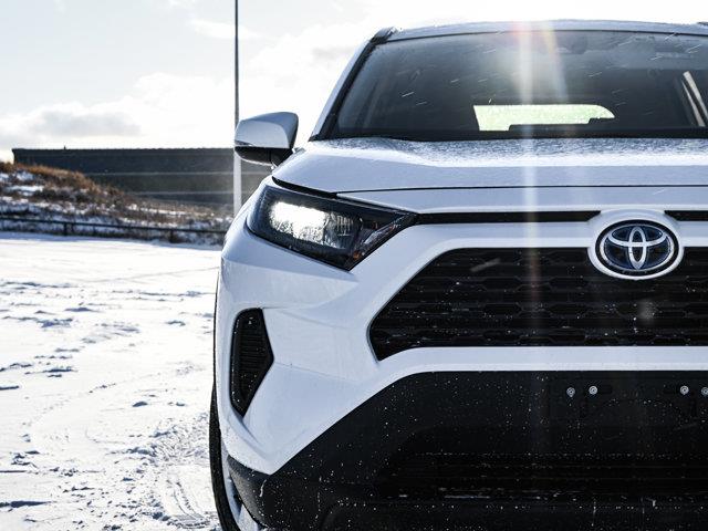toyota RAV4 2019 - 5