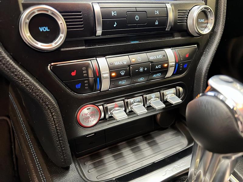 ford Mustang 2023 - 14