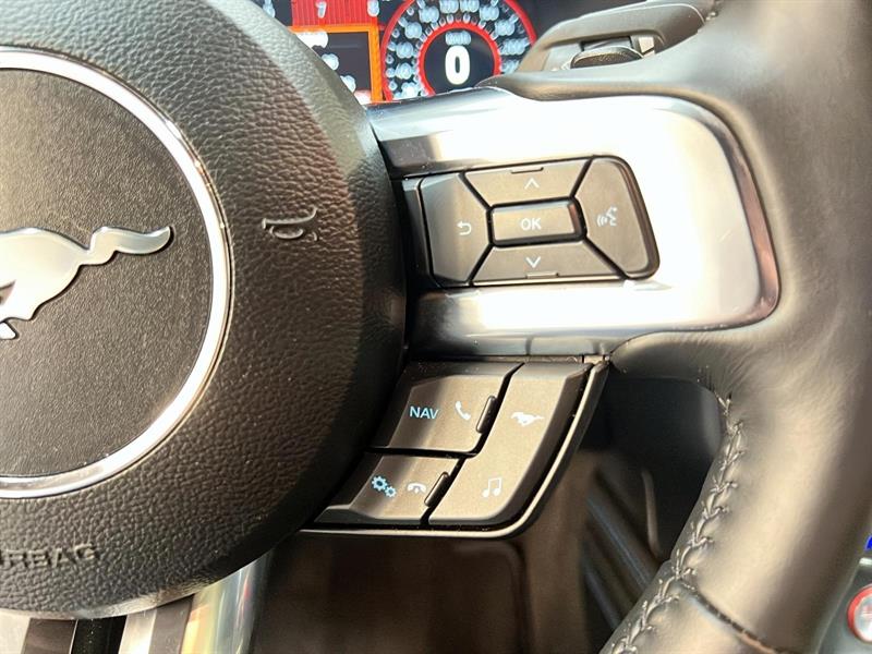 ford Mustang 2023 - 19