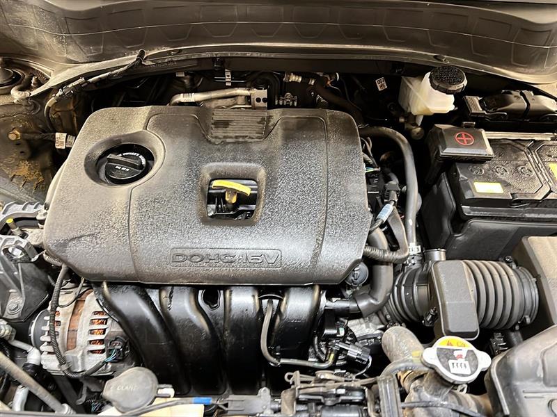 kia Seltos 2024 - 12