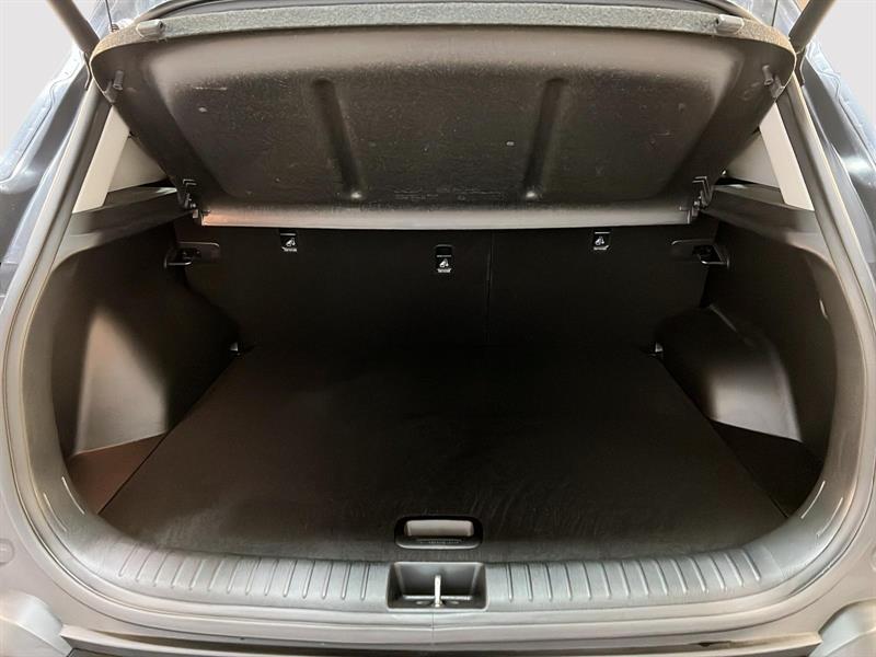 kia Seltos 2024 - 13