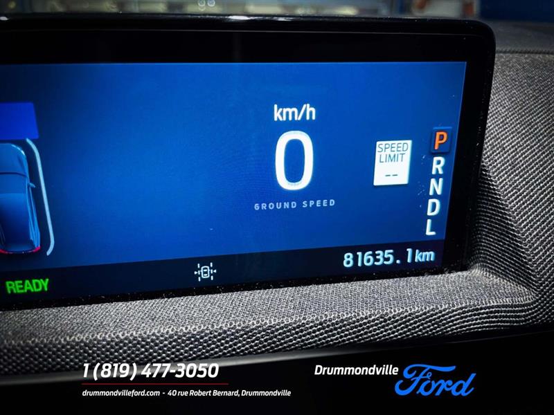 ford Mustang Mach-E 2021 - 12