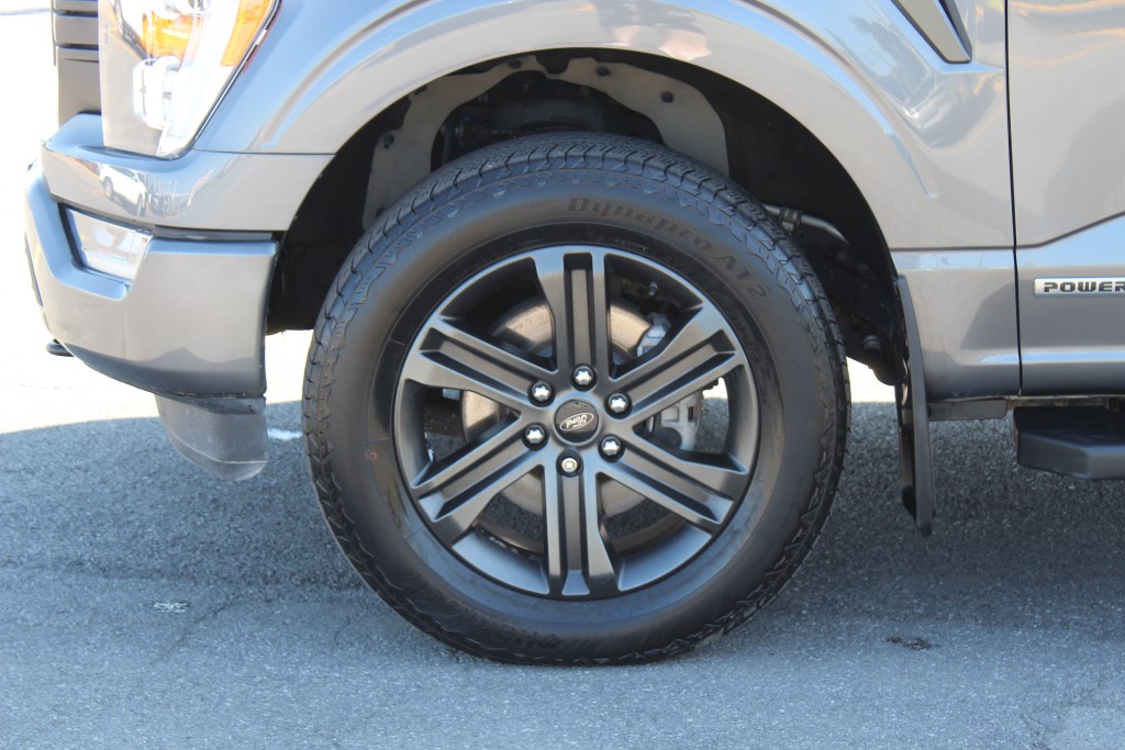 ford F-150 2021 - 12