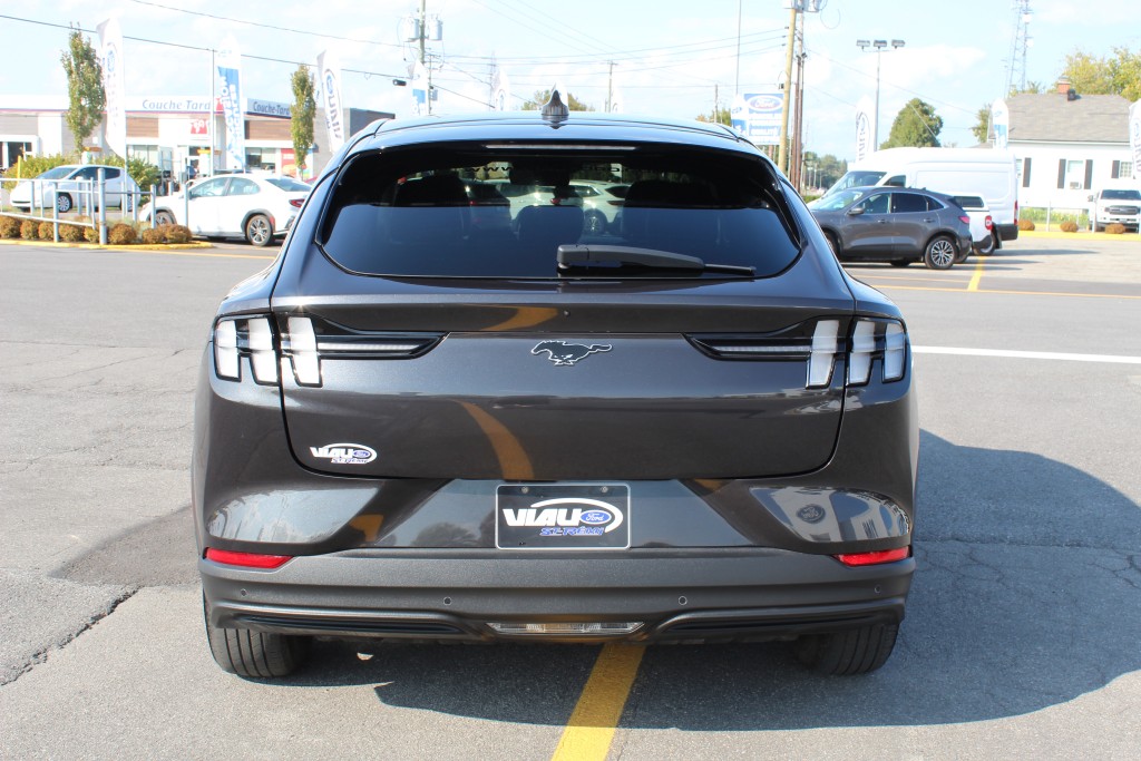 ford Mustang Mach-E 2022 - 9