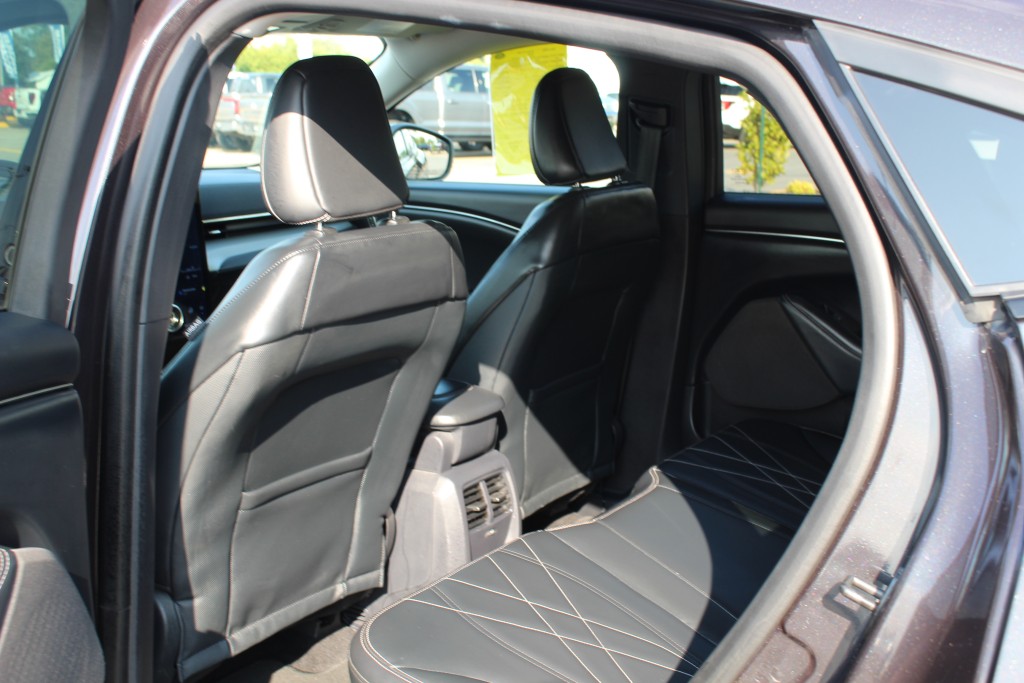 ford Mustang Mach-E 2022 - 13