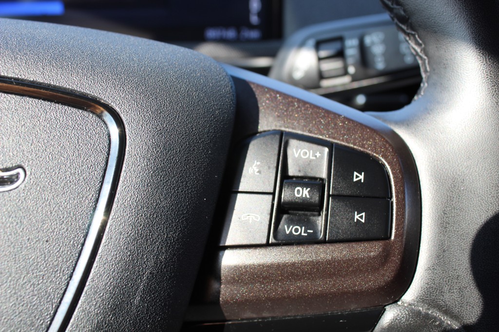 ford Mustang Mach-E 2022 - 19