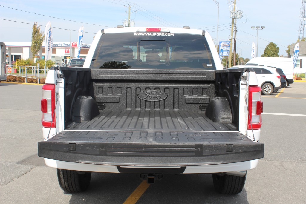ford F-150 2021 - 10