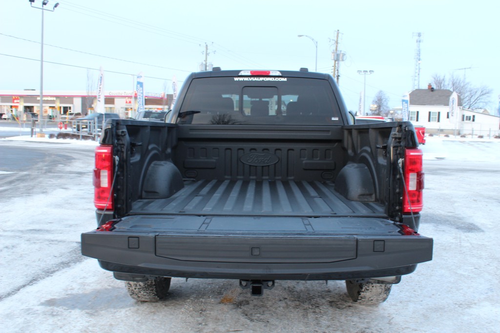 ford F-150 2021 - 10