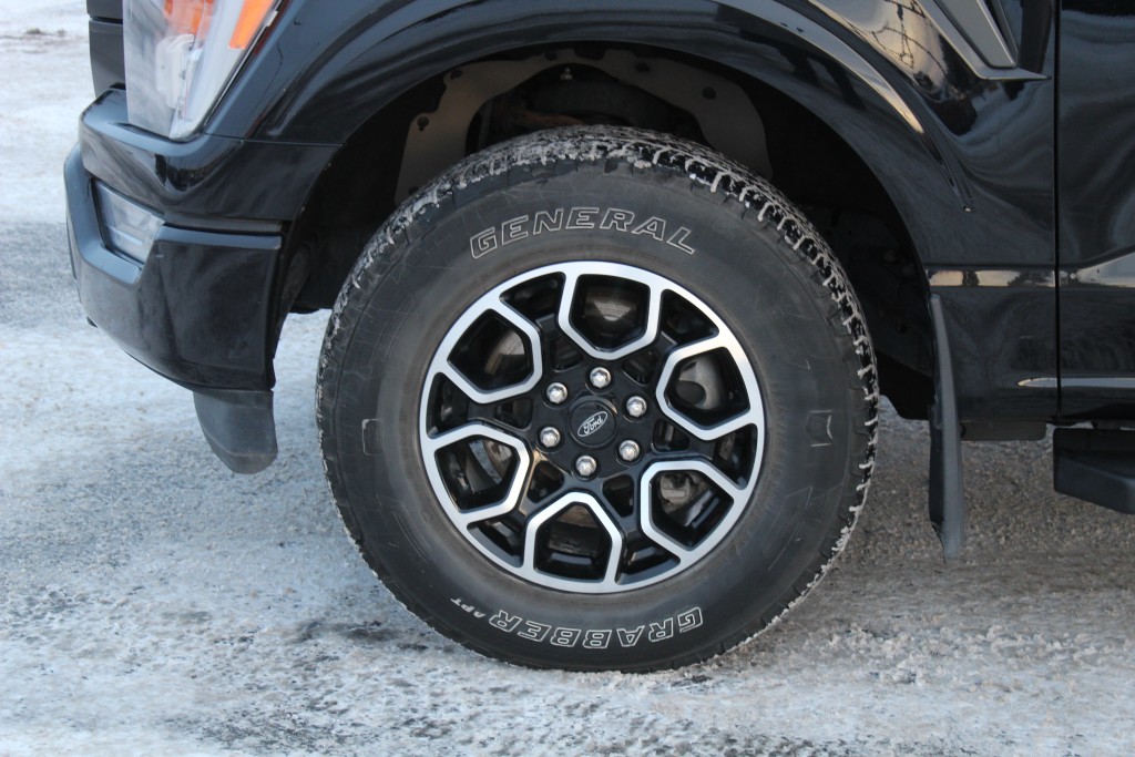 ford F-150 2021 - 12