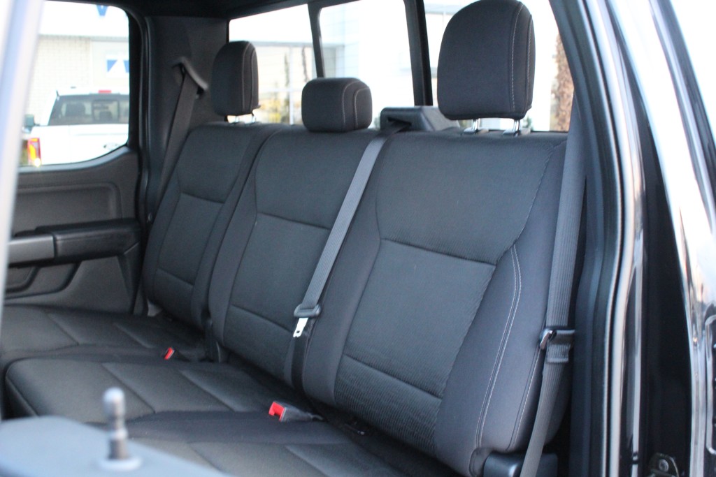 ford F-150 2021 - 15