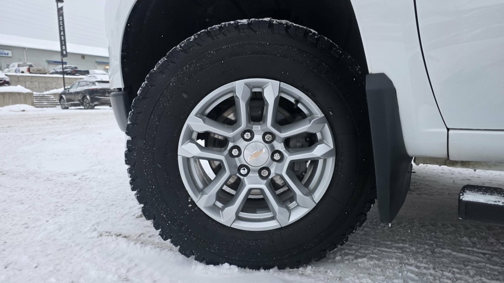 chevrolet Silverado 1500 2022 - 14