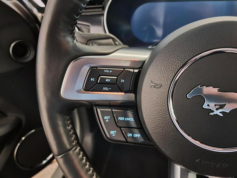 ford Mustang 2023 - 12