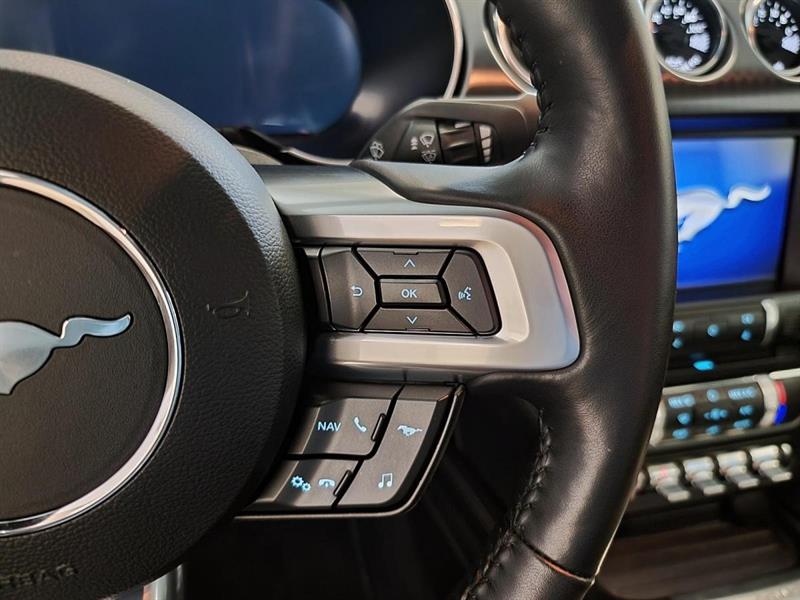 ford Mustang 2023 - 13