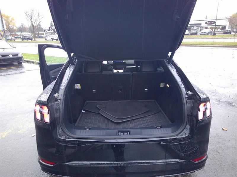 ford Mustang Mach-E 2022 - 16