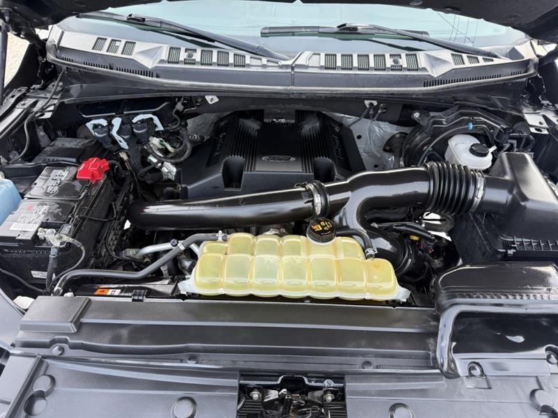 ford F-150 2020 - 16