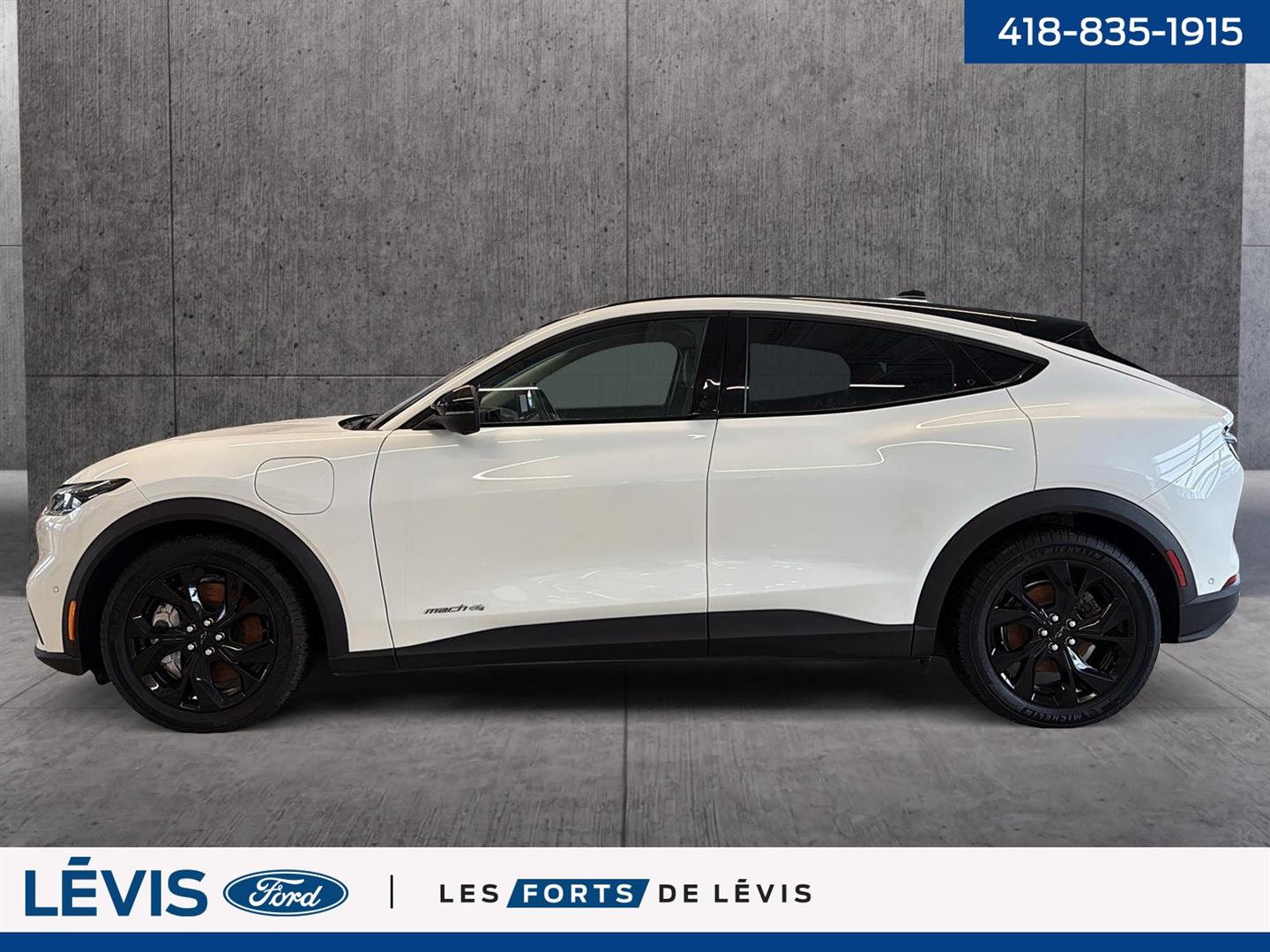 ford Mustang Mach-E 2024 - 8