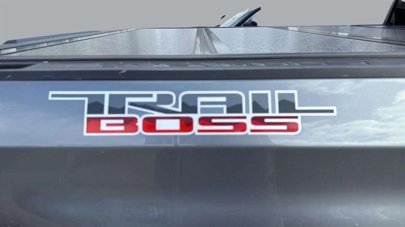 chevrolet Silverado 1500 2021 - 10