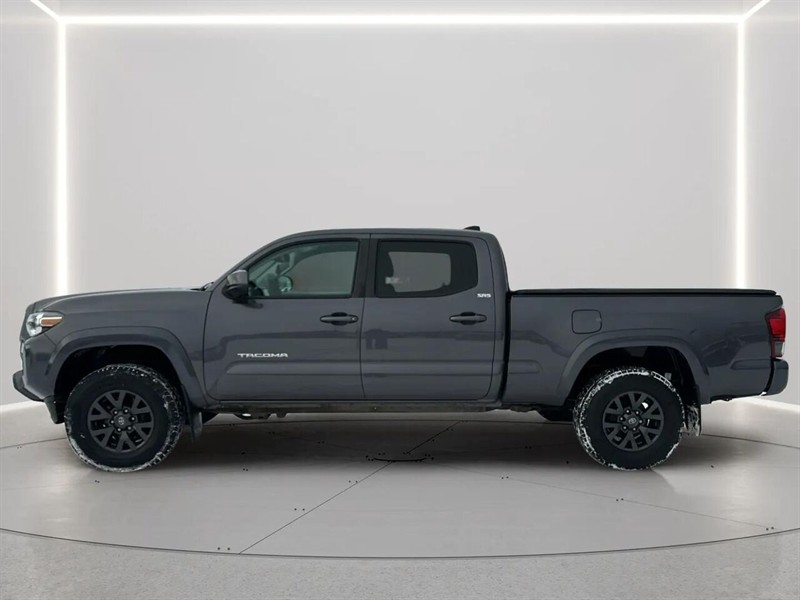 toyota TACOMA DBL CAB SR5/TRD 2022 - 2