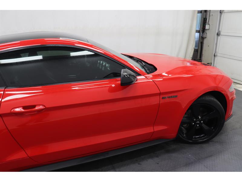 Ford Mustang 14