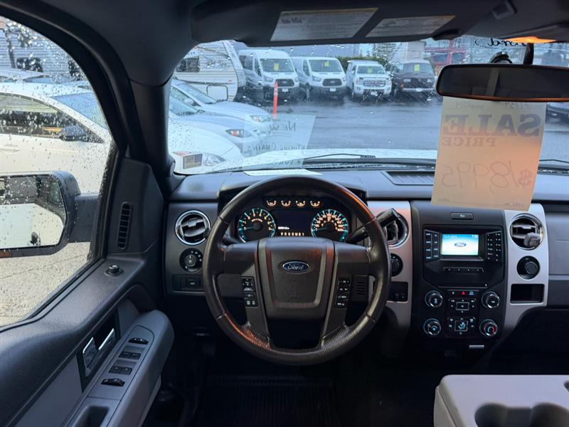 ford F-150 2014 - 14