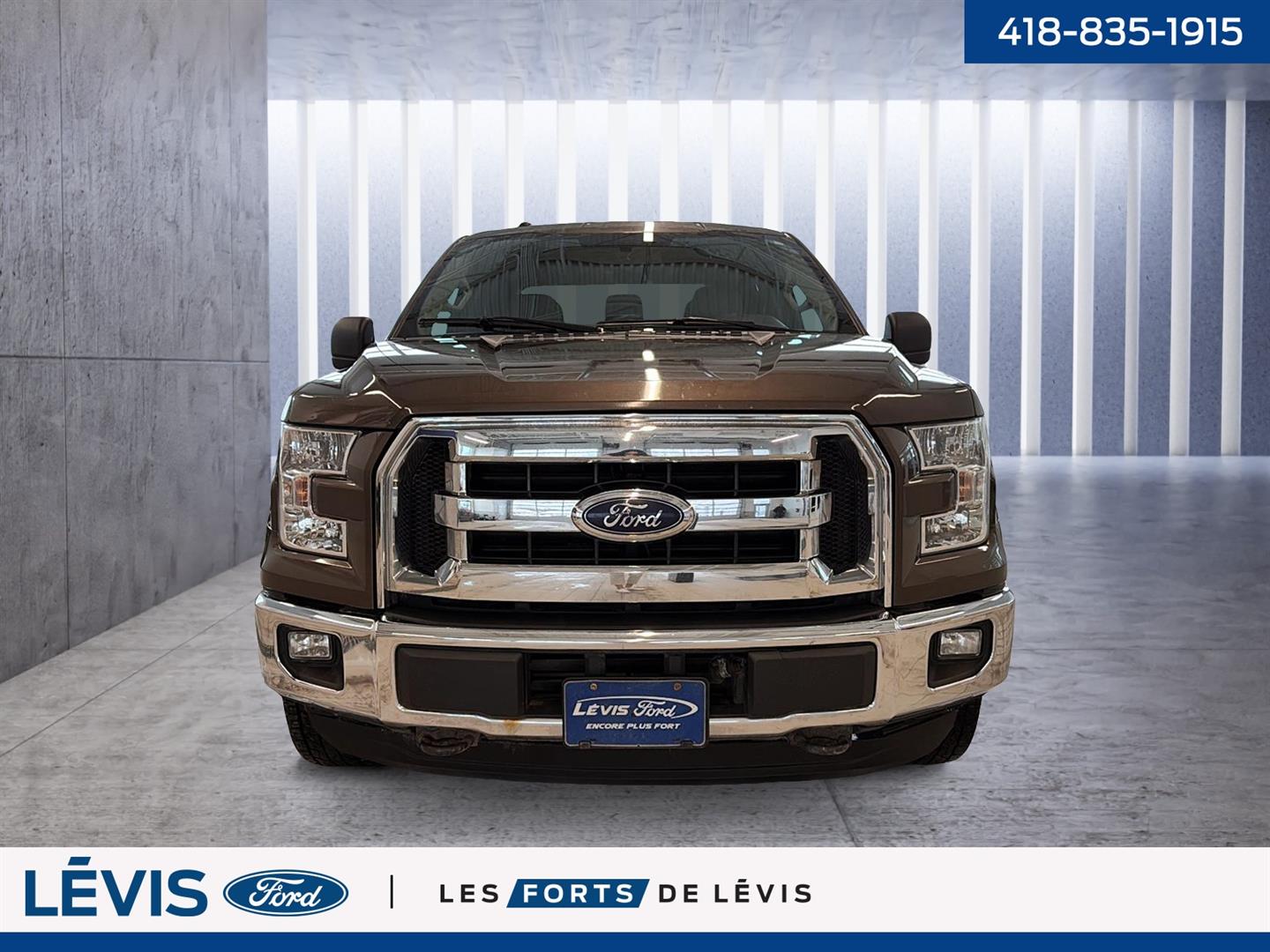 ford F-150 2015 - 3