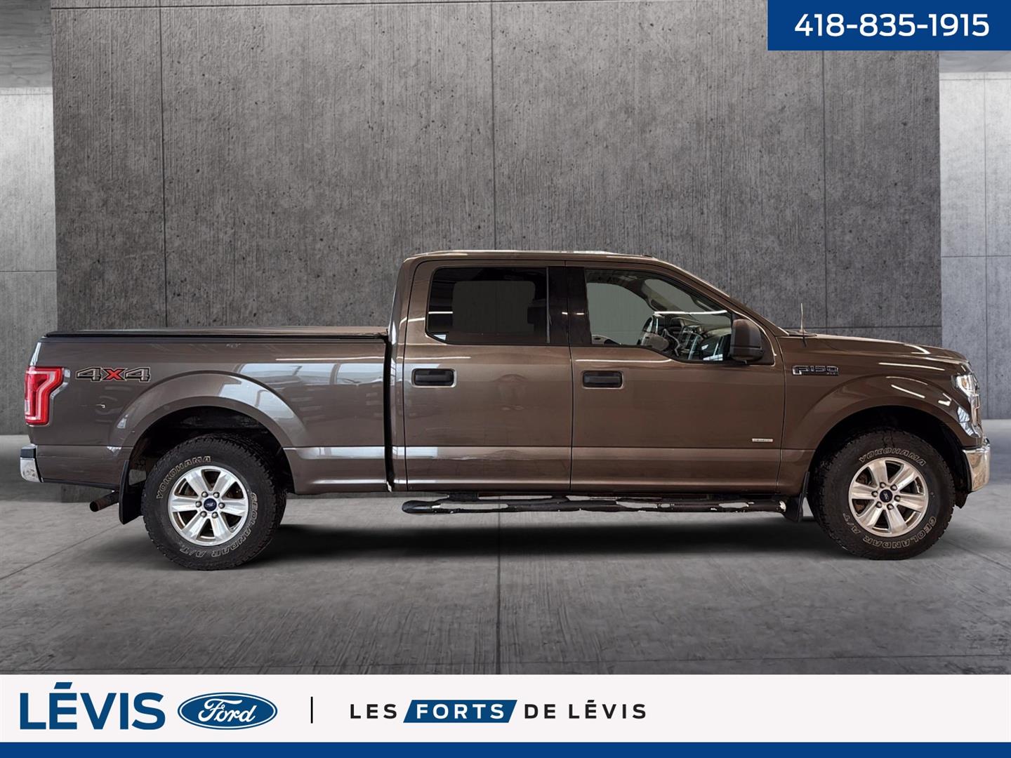 ford F-150 2015 - 4
