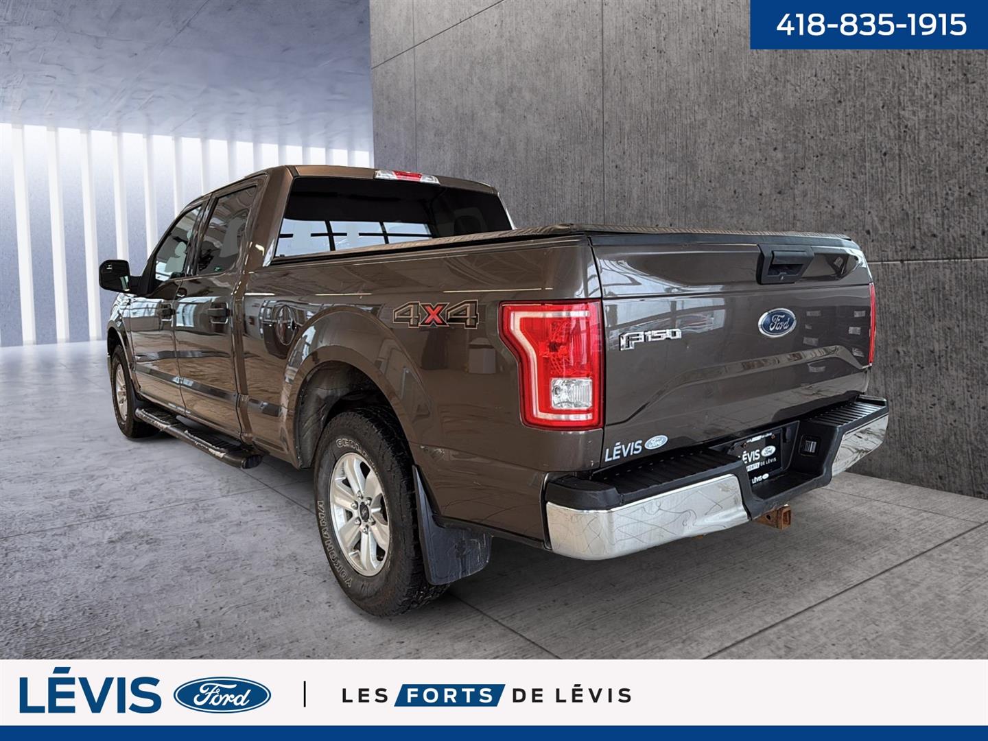 ford F-150 2015 - 8