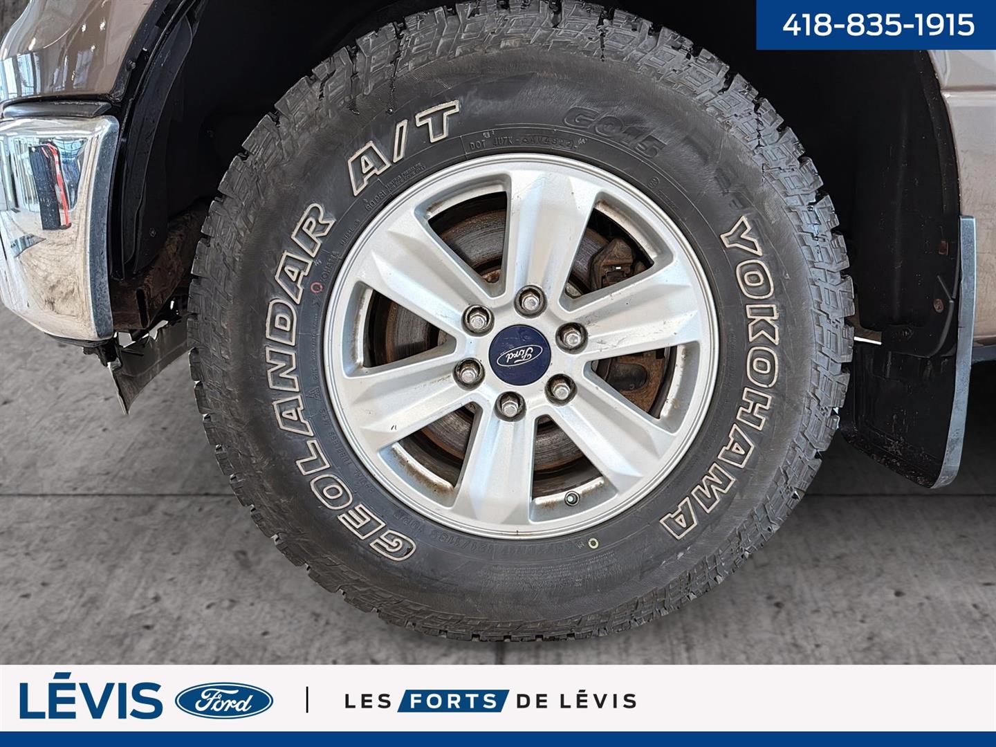 ford F-150 2015 - 10