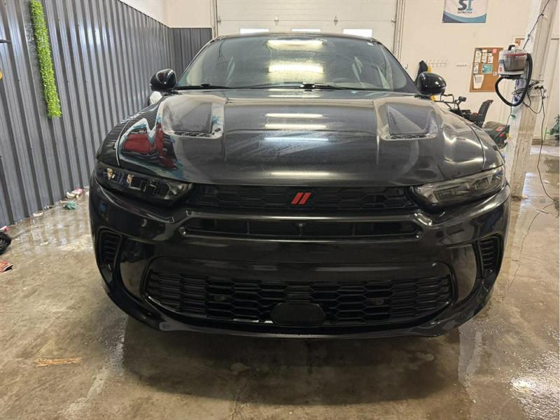 dodge Hornet 2024 - 2