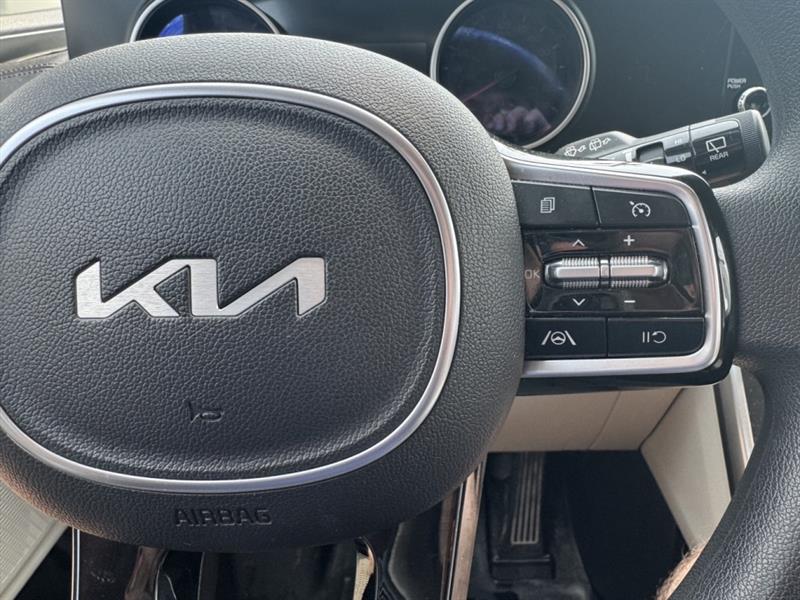 kia Carnival 2023 - 19