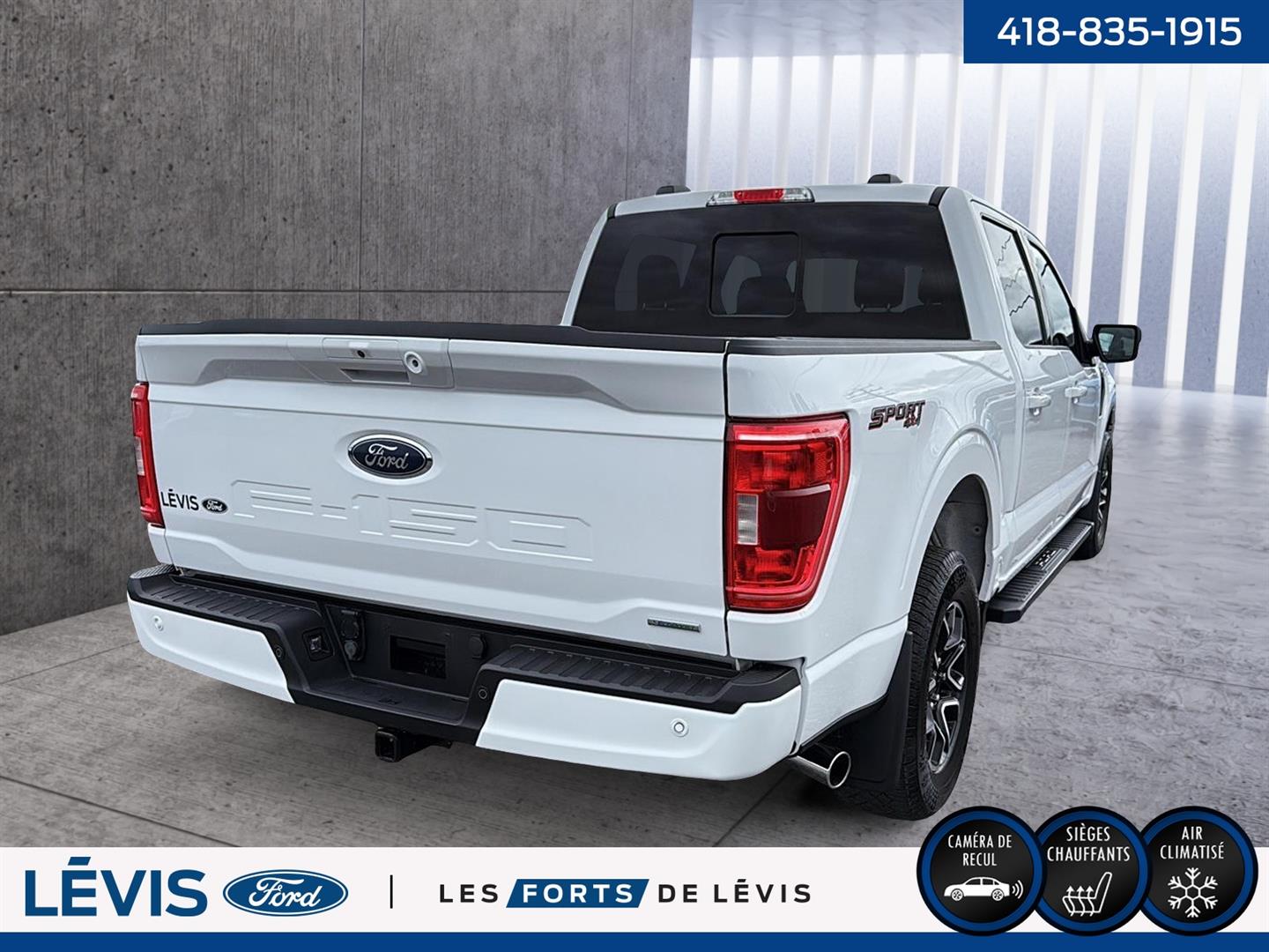 ford F-150 2021 - 6
