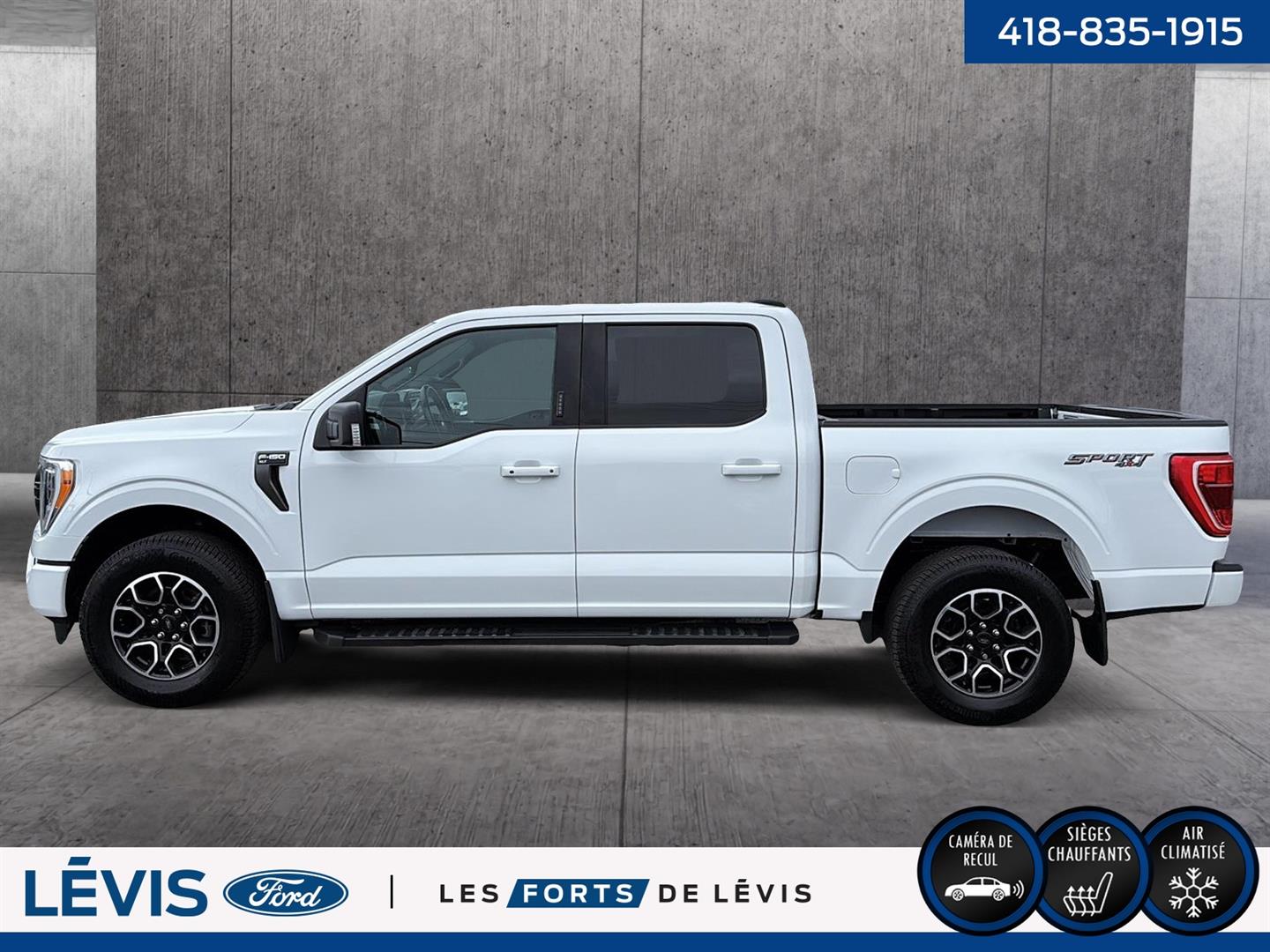 ford F-150 2021 - 10