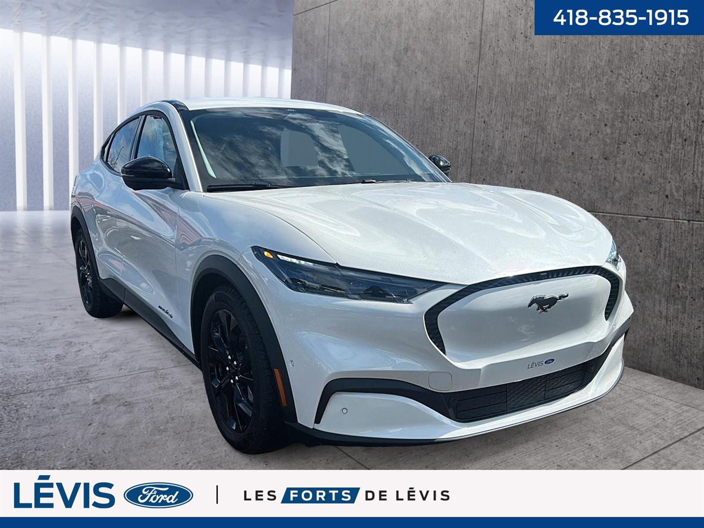 Ford Mustang Mach-e 3