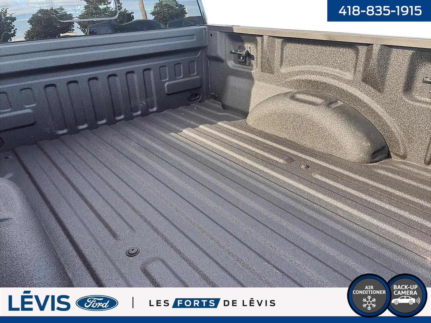 ford F-150 2021 - 11